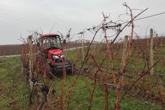 Kubota M7040 Narrow + AgroLand Winedisc